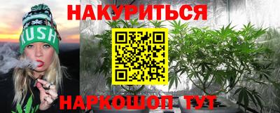 гидра Лесосибирск
