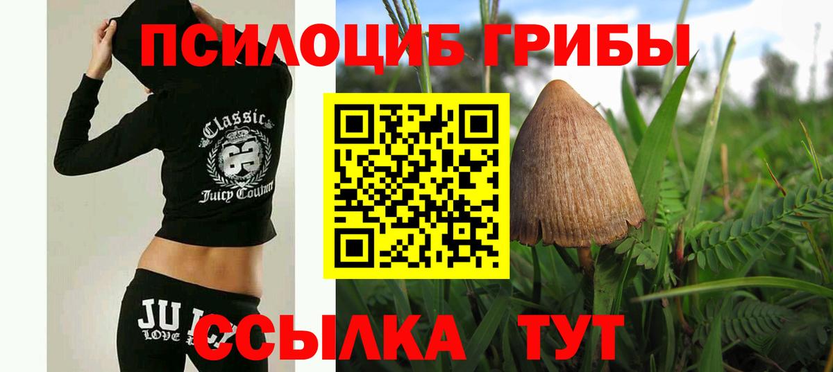 Псилоцибиновые грибы Cubensis  Псилоцибиновые грибы Magic Shrooms  Знаменск  Вход с VPN 